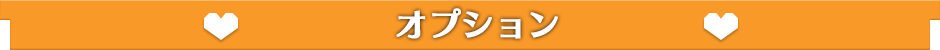 錦糸町風俗ホテヘル ウルトラハピネス オプション